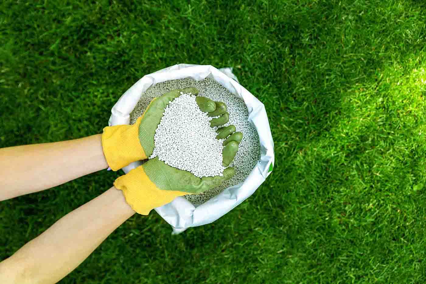 What to Expect from a Professional Fertilizing Program in Rosemount, MN