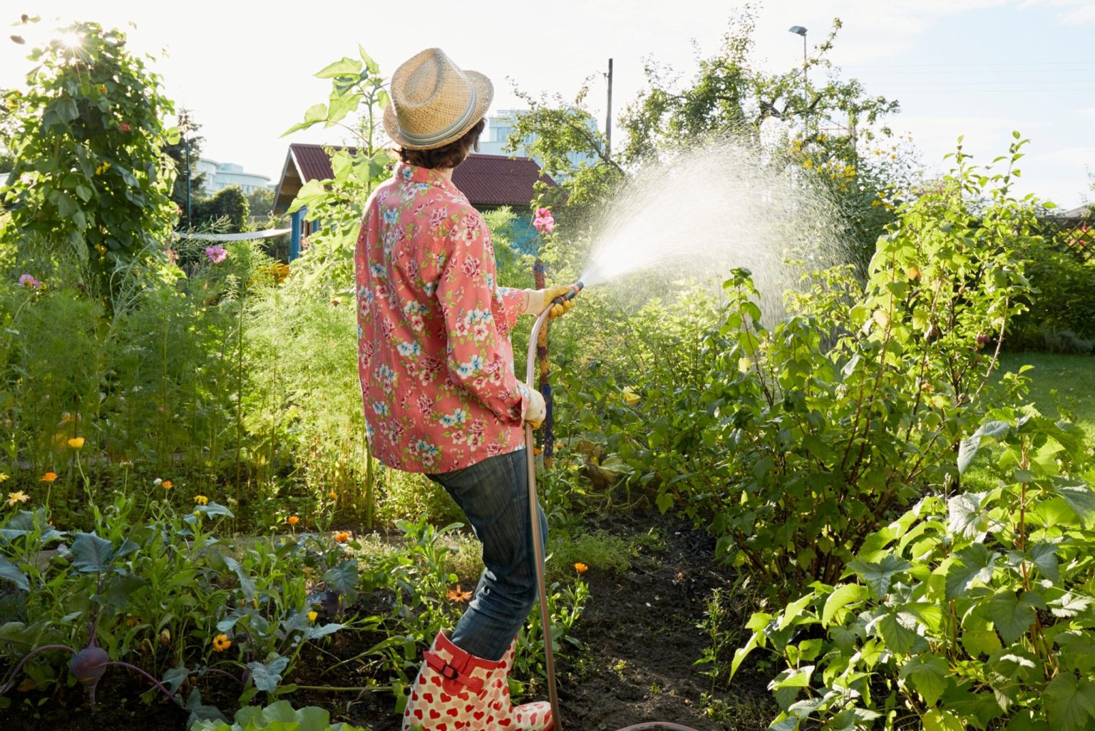 Gartenpflege Gießen – Perfekte Pflege das ganze Jahr